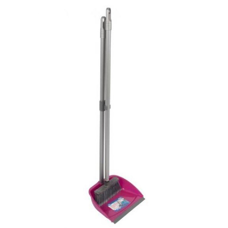 Dustpan & Broom with Long Handle