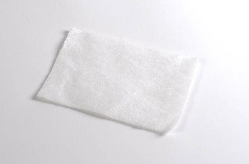 Vacuum Cleaner Filter Philps White Per Piece