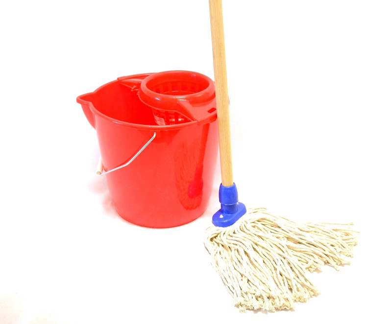 Complete Strong Mop Bucket
