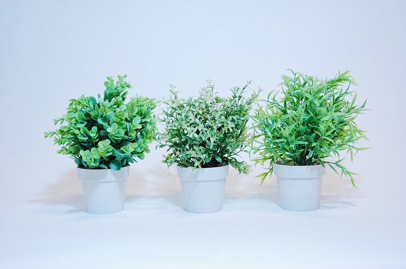 Plastic Plant 24cm In Round White Pot