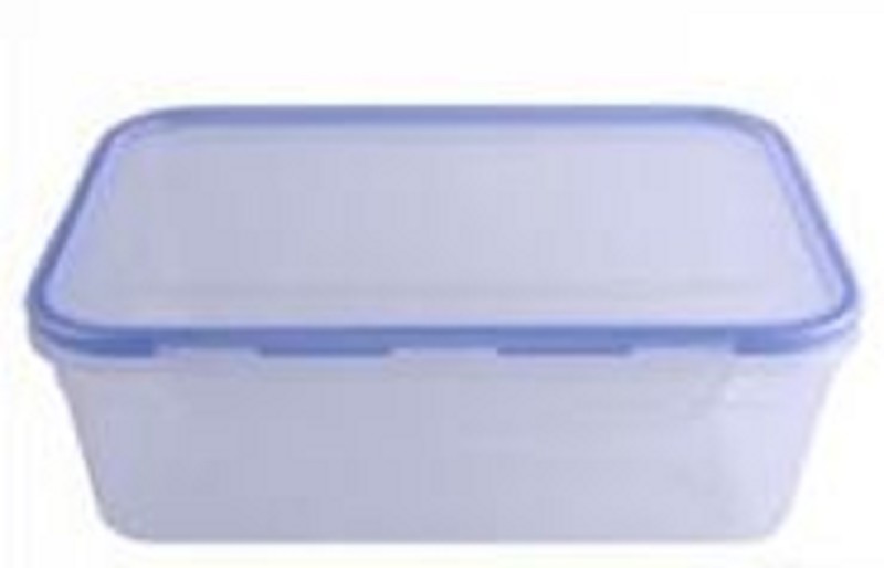 Refrigerator/Food Container 2 liters