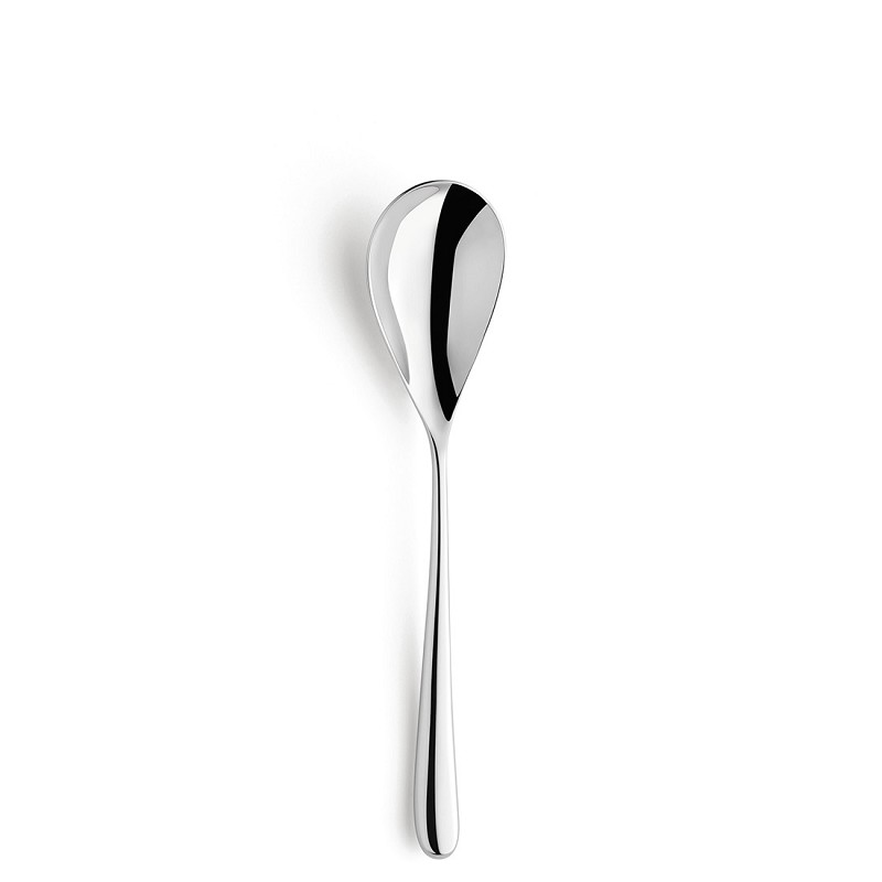 Amefa Newton Mirror Table Spoon