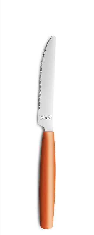 Amefa Pixel Table knife mango