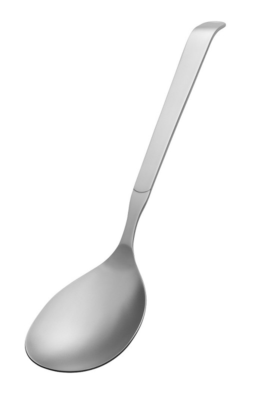 Amefa Buffet Velvet Hanging Card Buffet Solid Serving Spoon  (Velvet PVD)